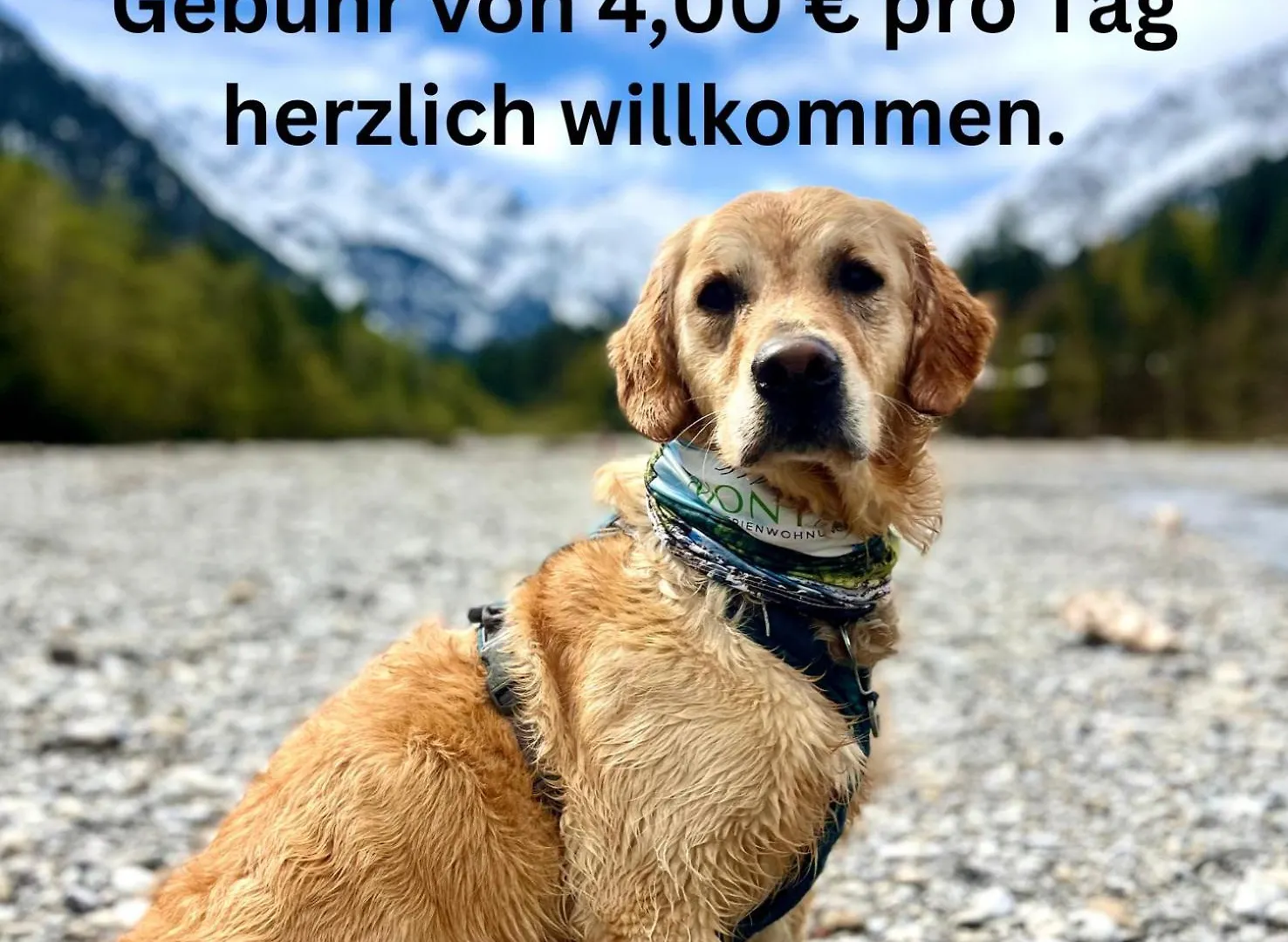 Montana Haus, Fewo A14, A17, B4 Oder C8 Oberstdorf 0*,